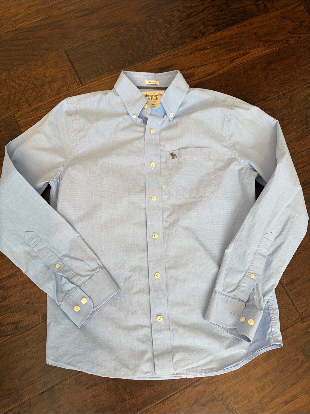 Abercrombie & Fitch Light Blue Button-Down Shirt